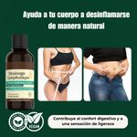 Fluïdalis™ – Fórmula Natural de Apoyo Linfático